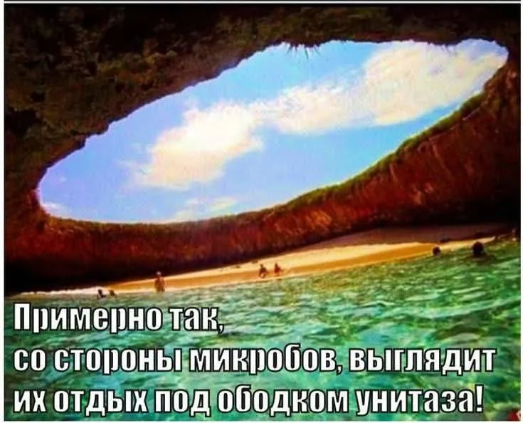 Про микробов #2