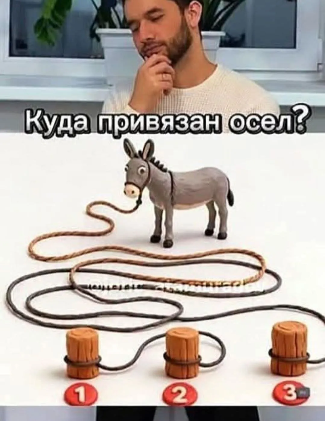 За сколько секунд решишь?  #2