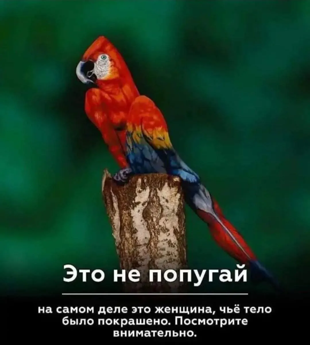 Не всё, что мы видим, на первый взгляд, является реальностью🤷‍♀️ #2