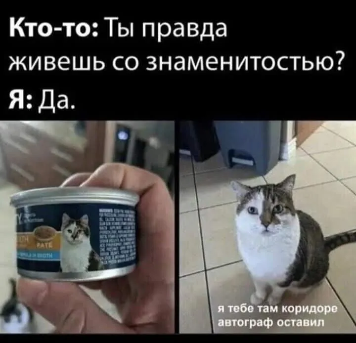 Знаменитость - это вам не хухры мухры #2