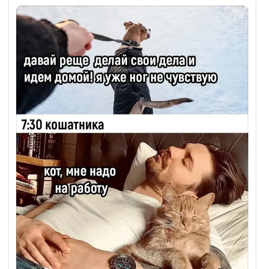 А какое у вас утро?  #2
