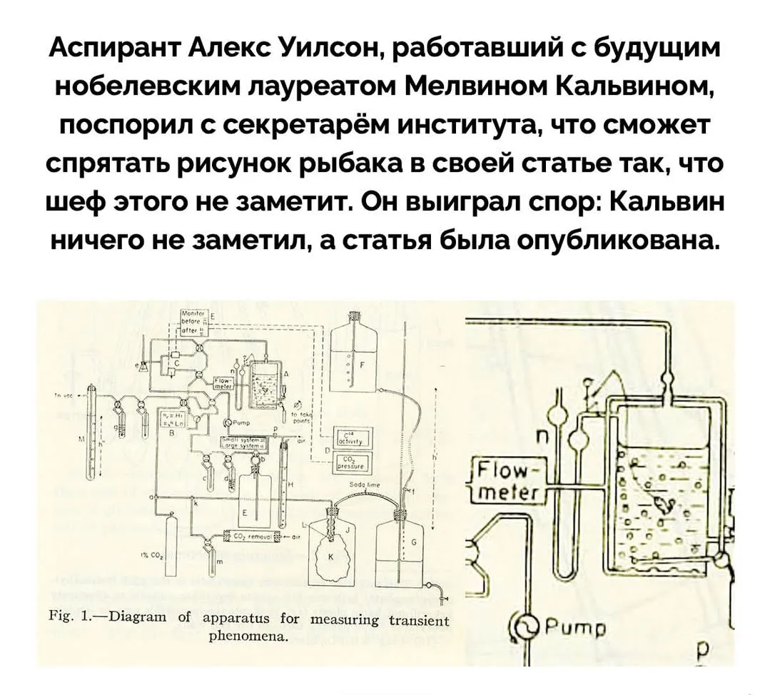 Кто это читает?  #2