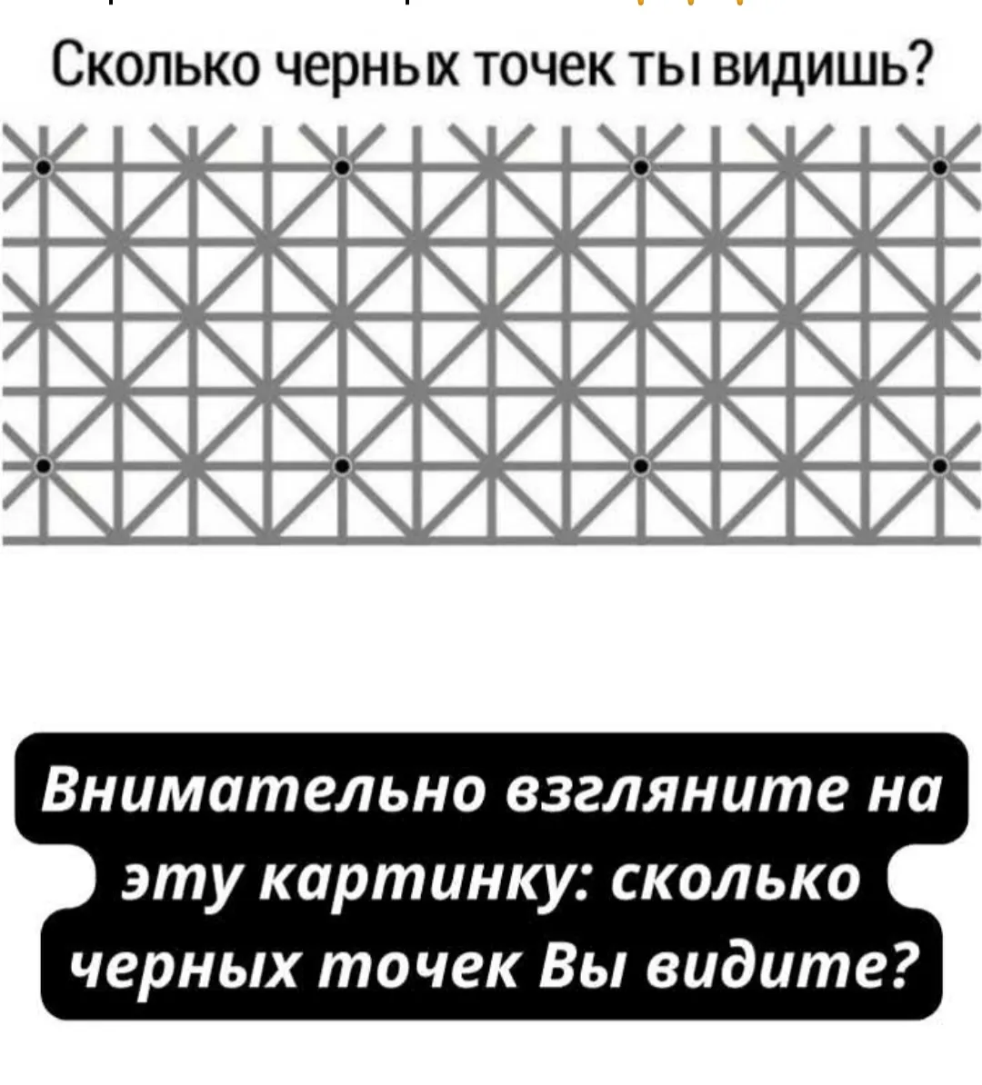 Отдохнем? Ищите точки #2