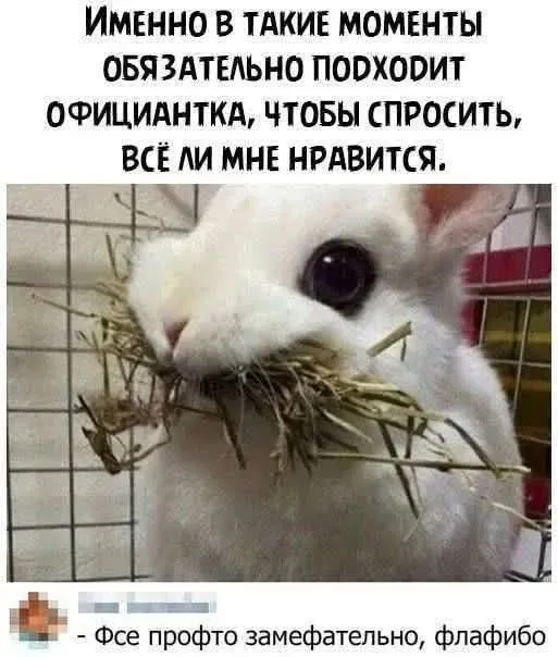 Похоже на правду #2