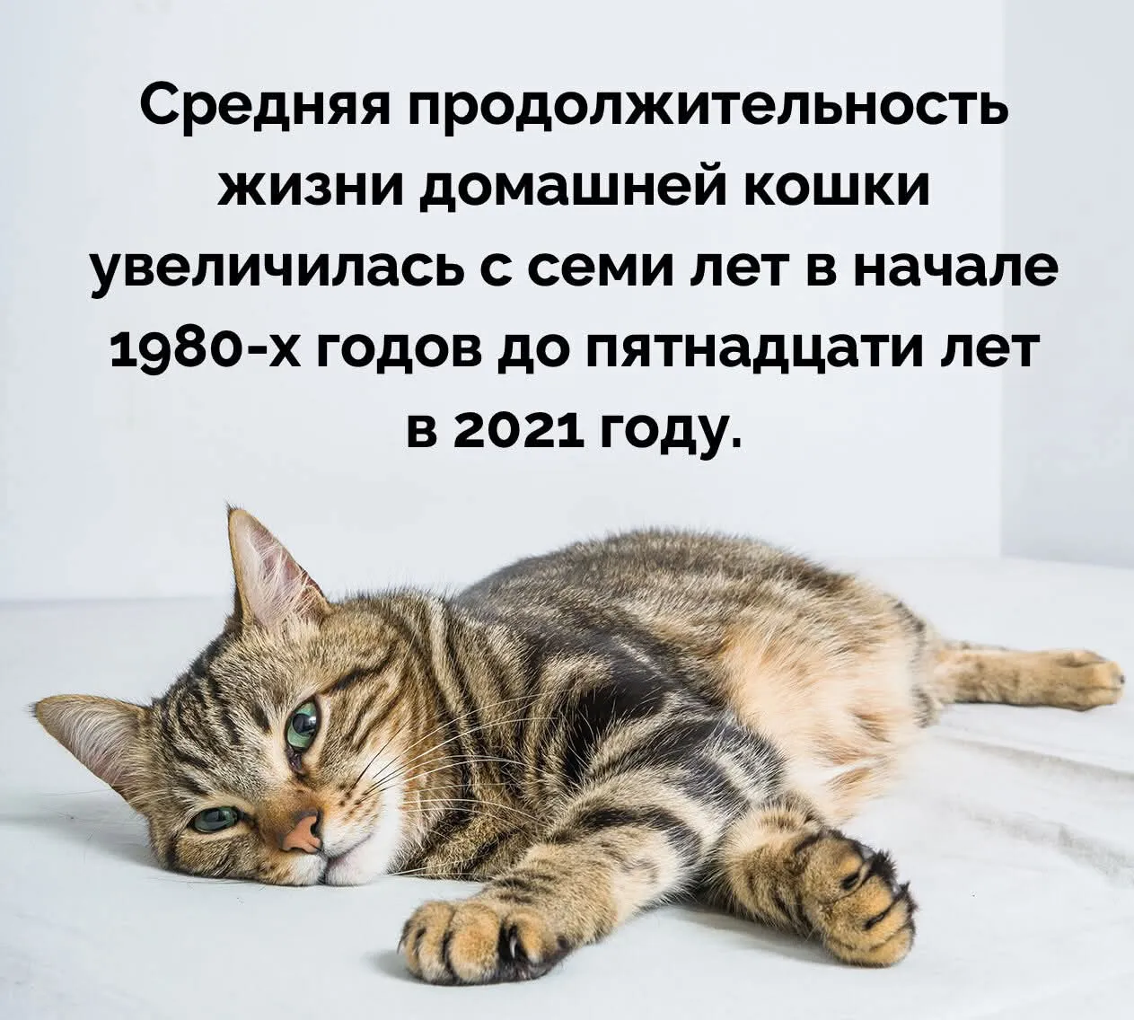 Просто хорошие новости #2