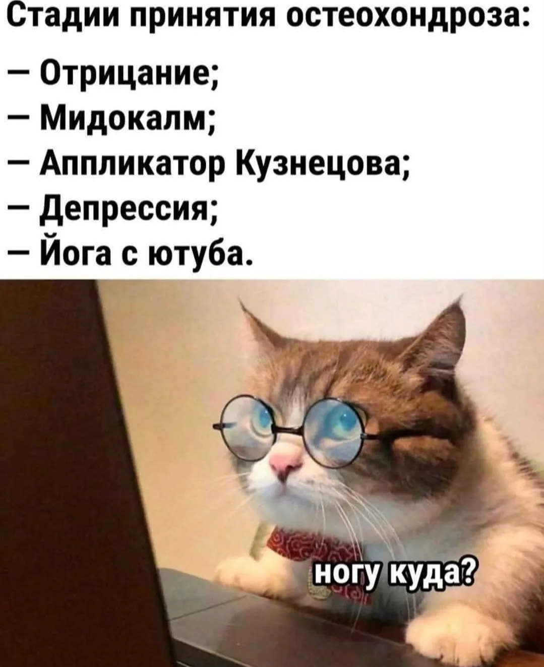 Стадии принятия остеохондроза #2
