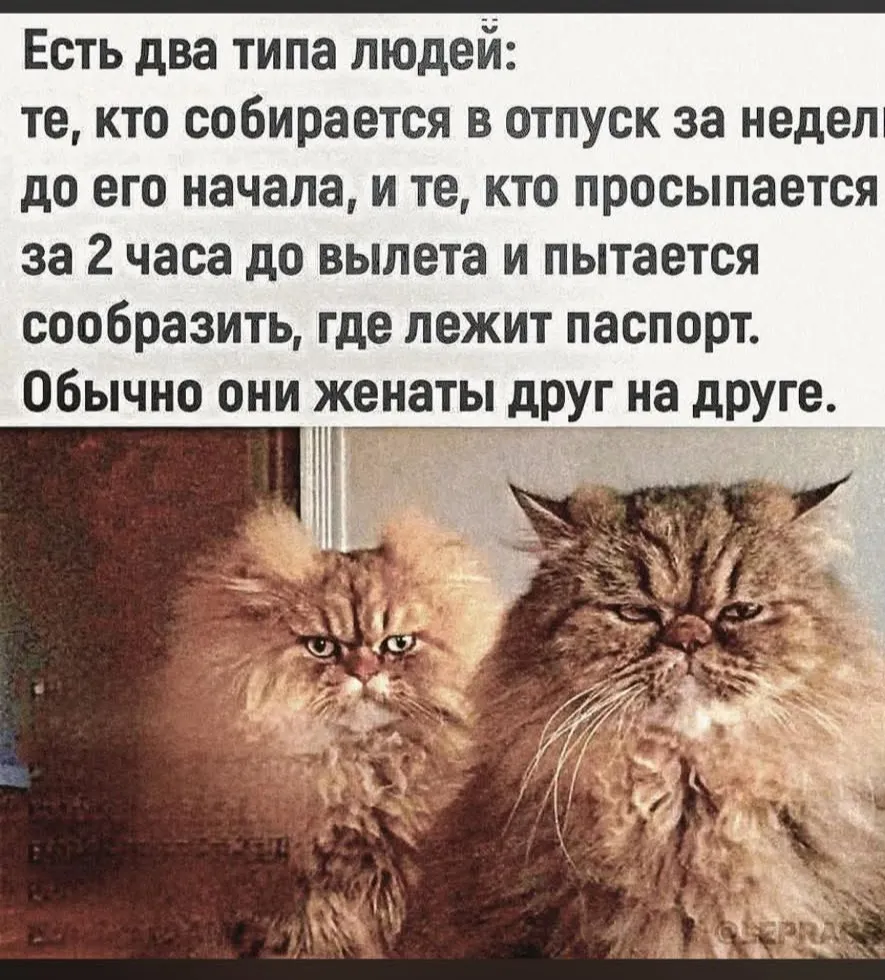 Едем в отпуск #2