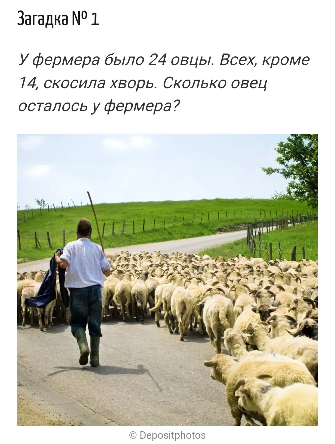 Загадки 1,2,3 #2