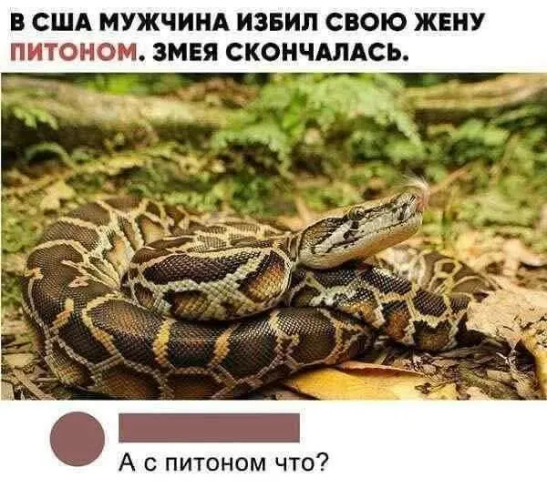 Ужас какой-то #2