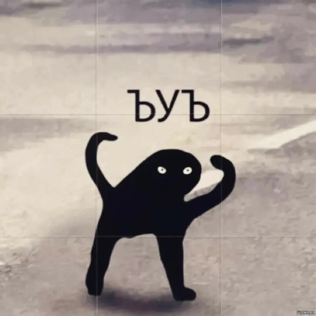 Коты #2