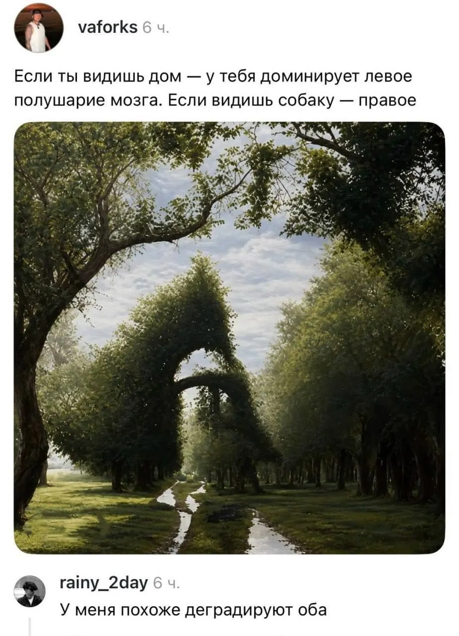 У меня деградация  #1