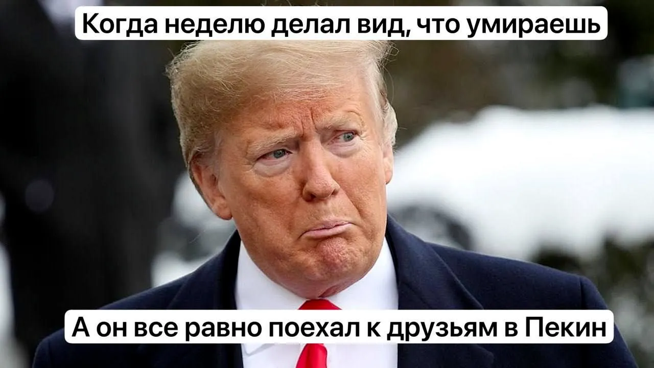 Трамп разнообразия  #1