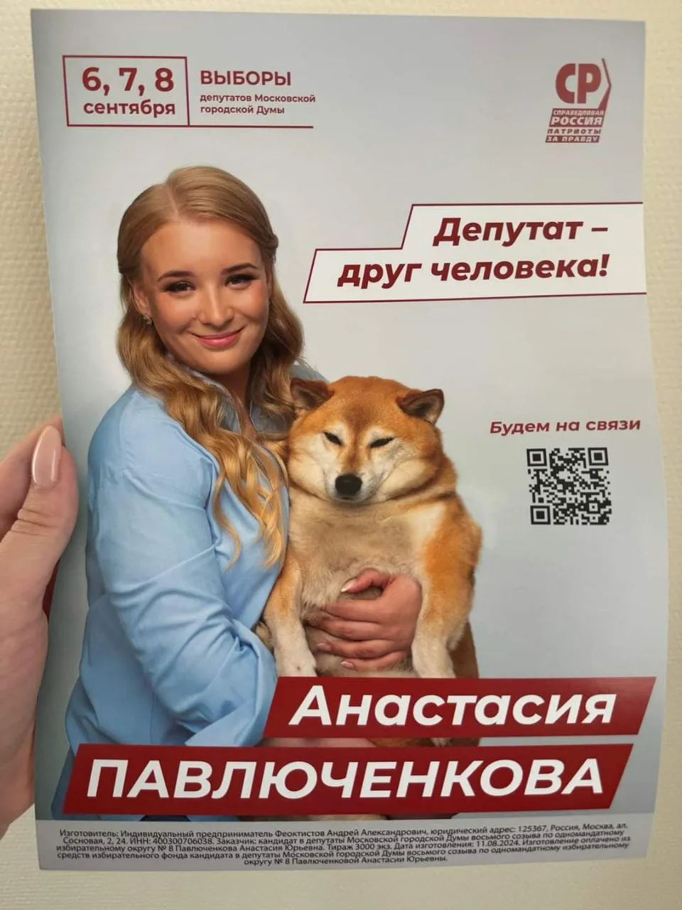 Предвыборная листовка #2