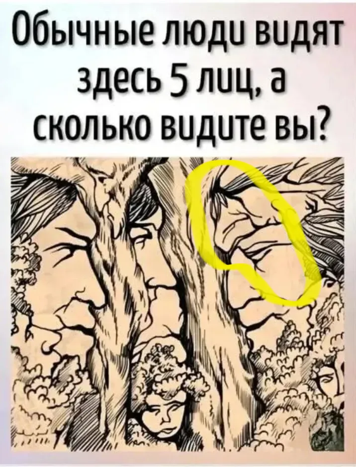 10е лицо
