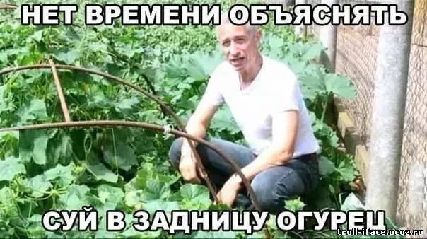 Пройдет #2