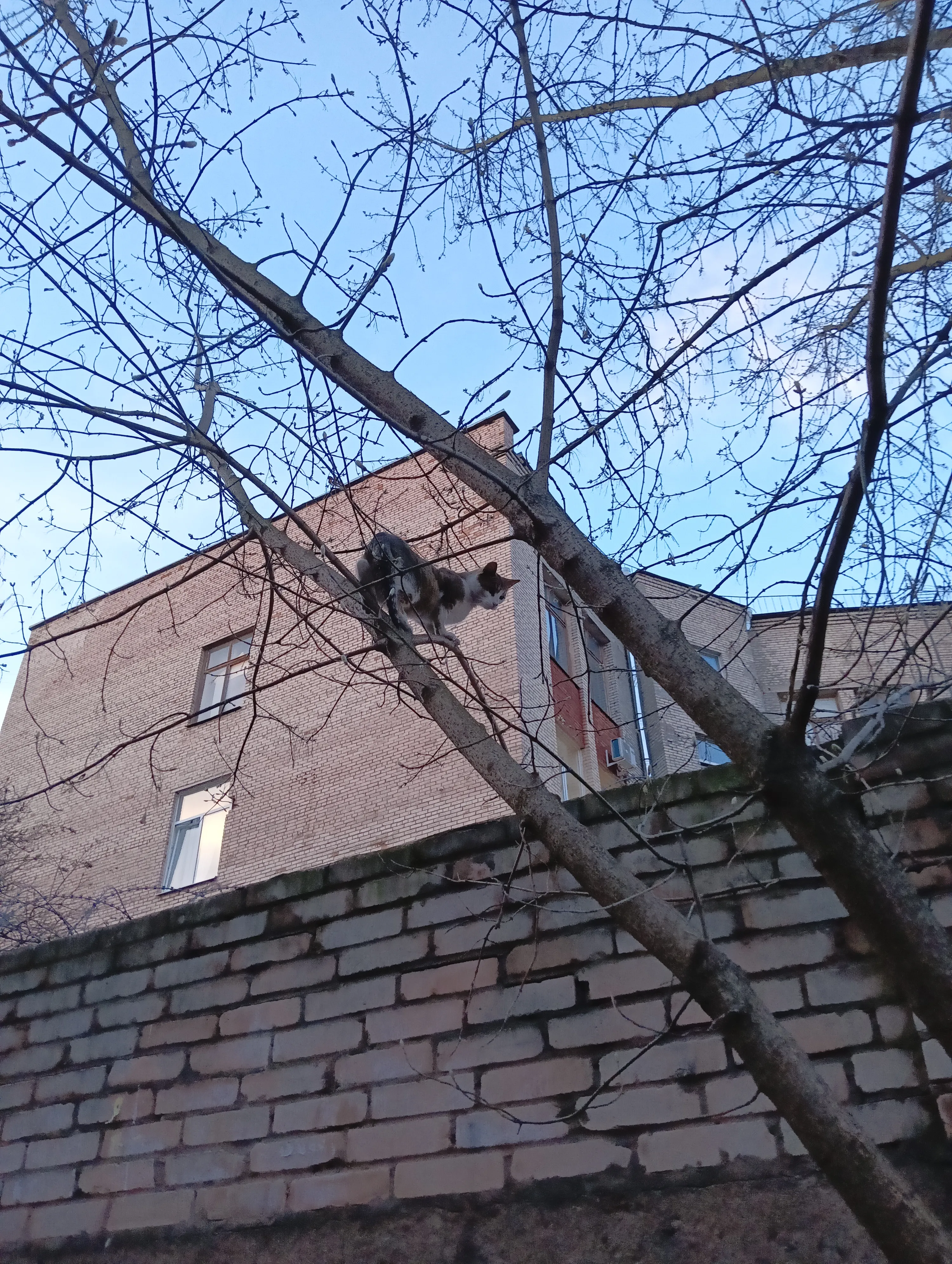 По пути в бассейн.  #1