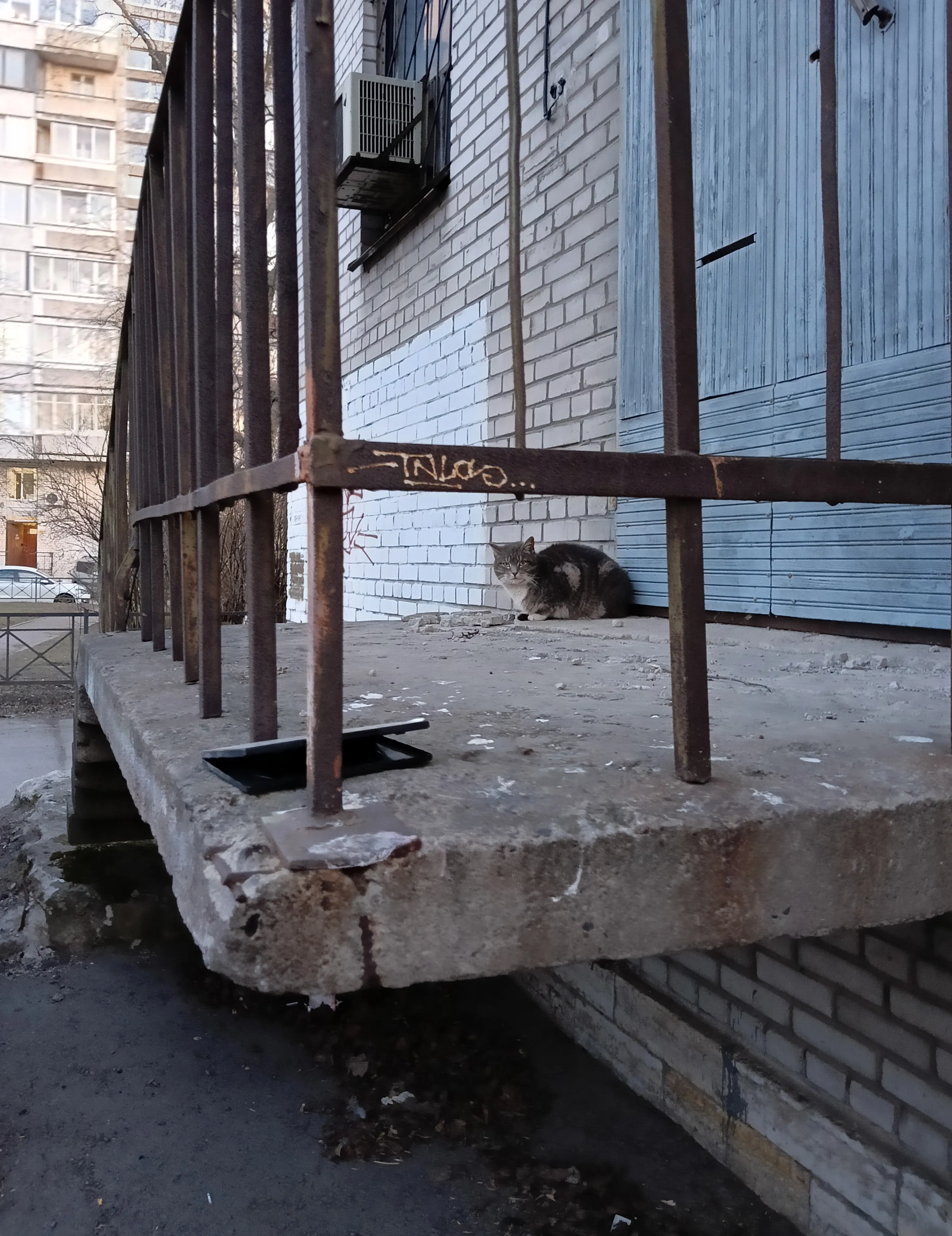 По пути в бассейн.  #2