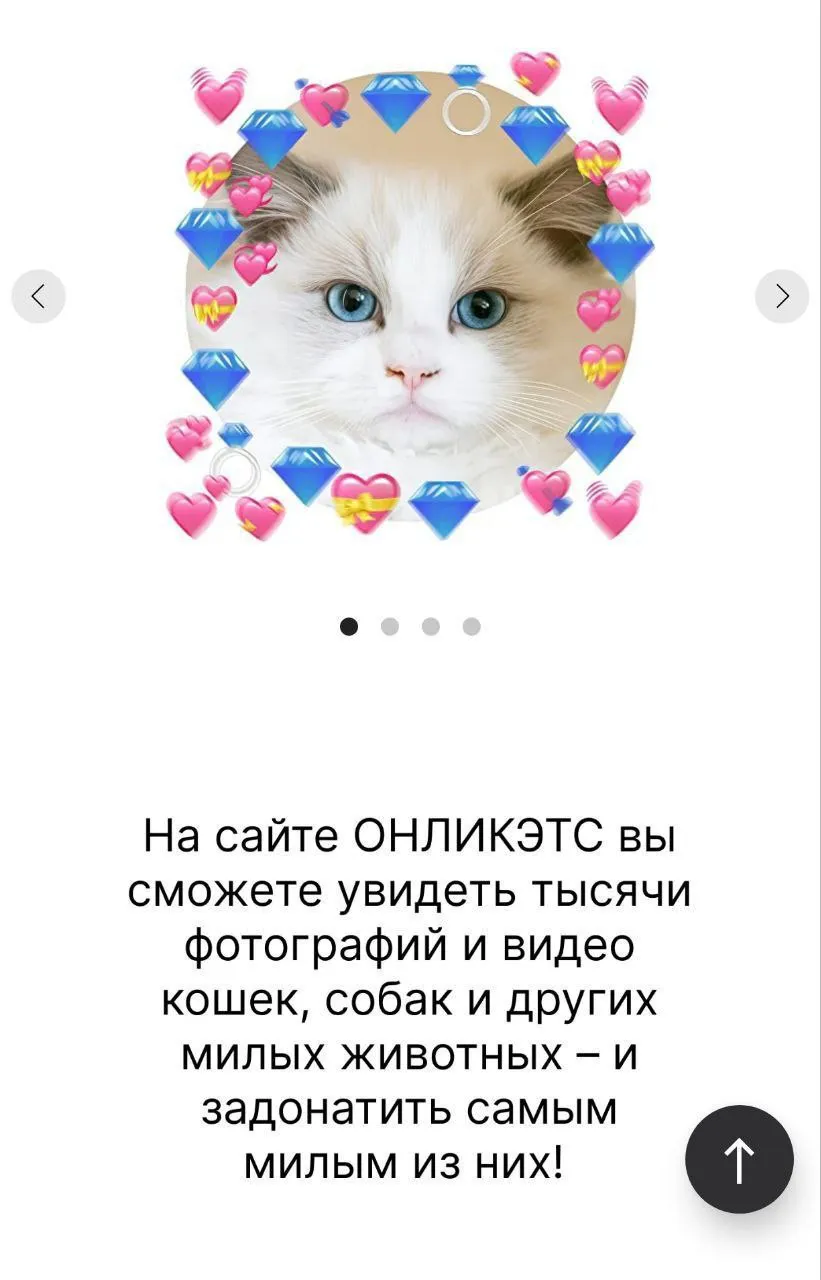 ОнлиКэтс #2