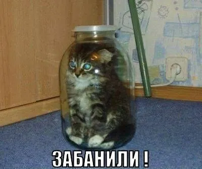 Всю страну