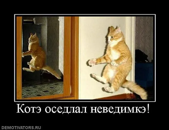 Интернет 2010х #5