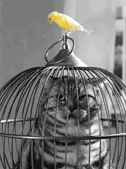 Кеша, я ведь выйду...)
