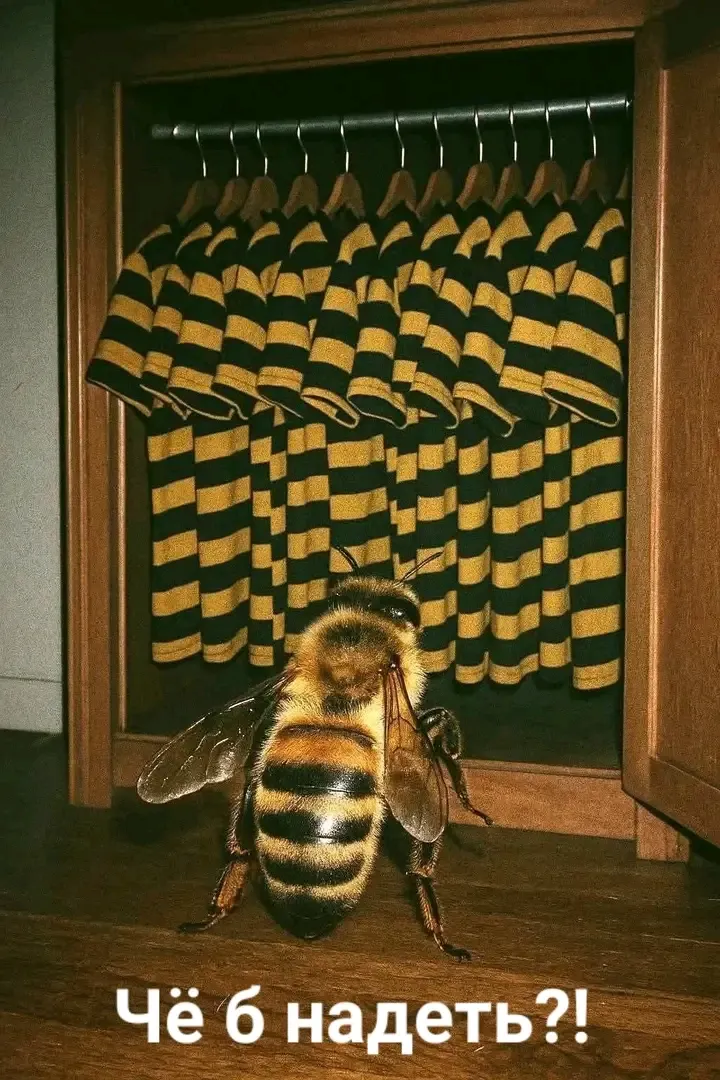 Действительно.Что?🤔😉👍 🐝 #1