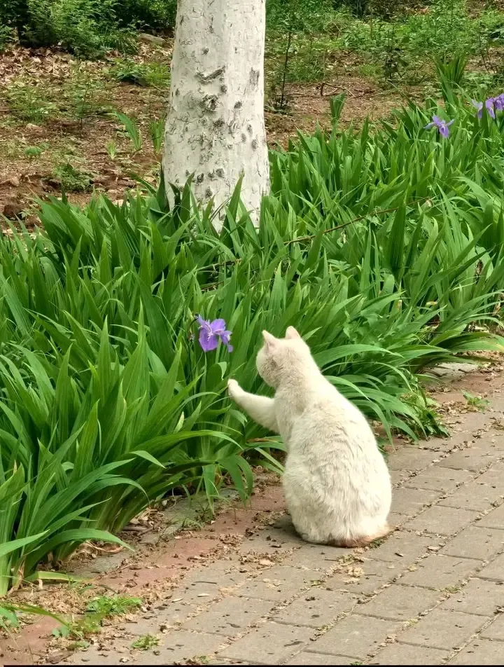 С Добрым Утром🌞🐾 #1