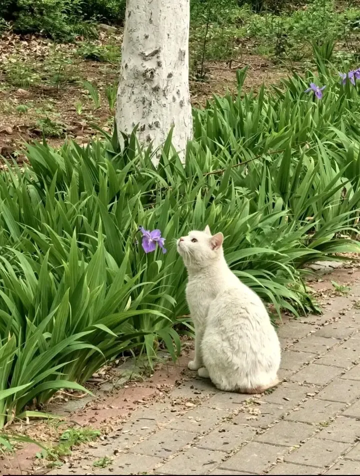 С Добрым Утром🌞🐾 #2