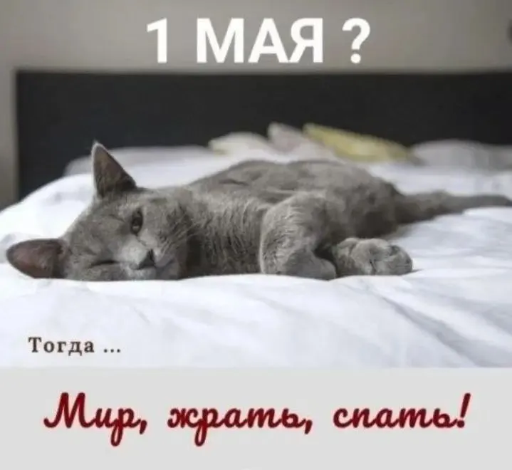С Добрым Утром🌞🐾 #1