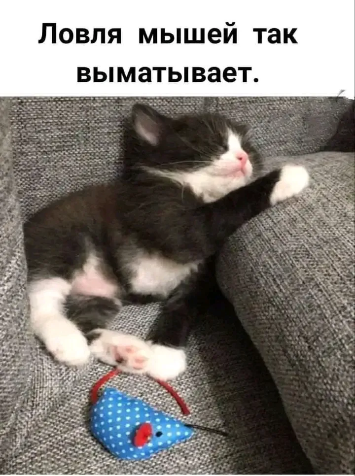 Майский трудяга 🥰👍