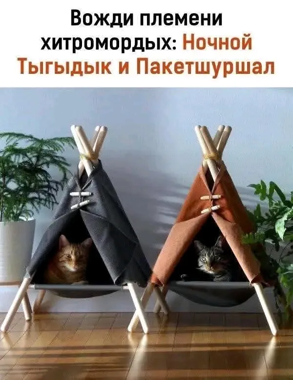 🥰🥰🐾🐾👍 #1