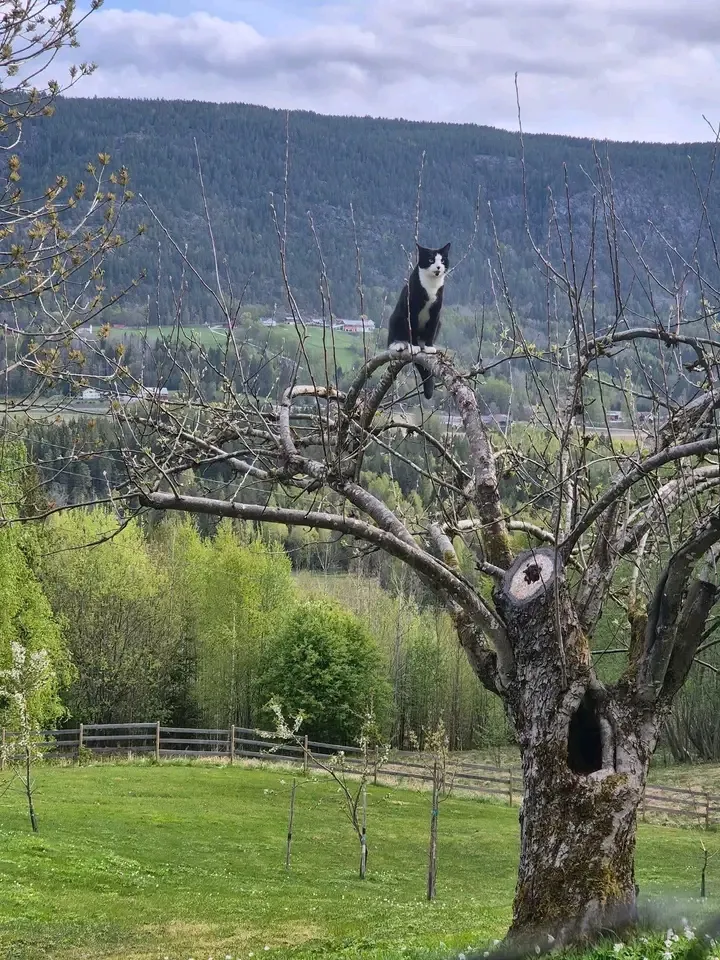 С Добрым Утром🌞🐾 #1