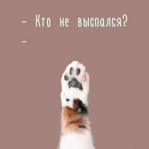 😉🐾 😴 #1