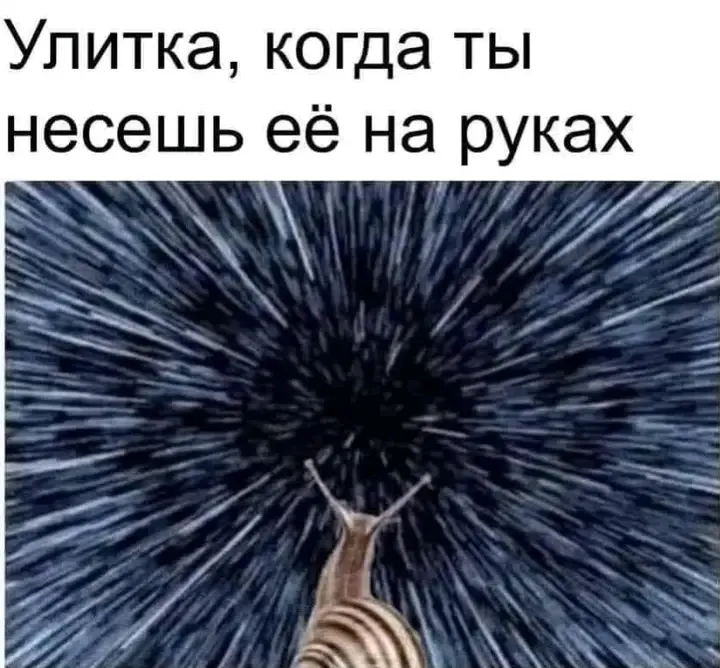 👀👀👀 🐌 #1