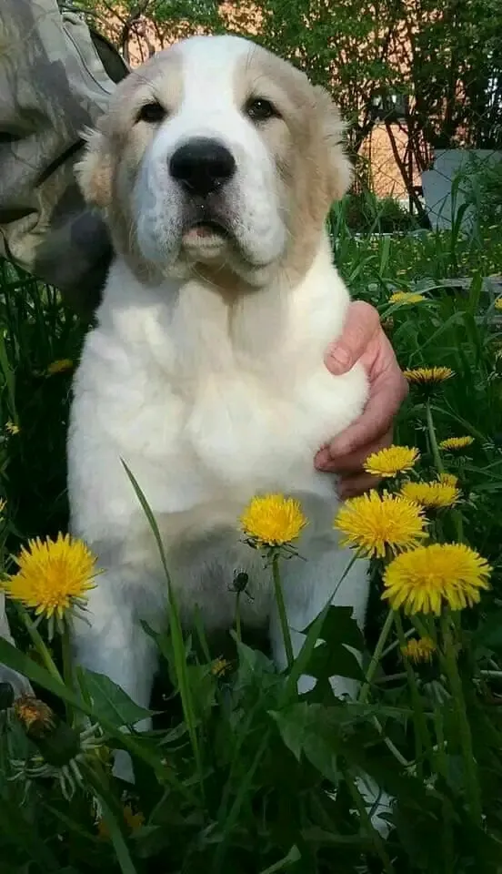 🥰🐾👍 #1