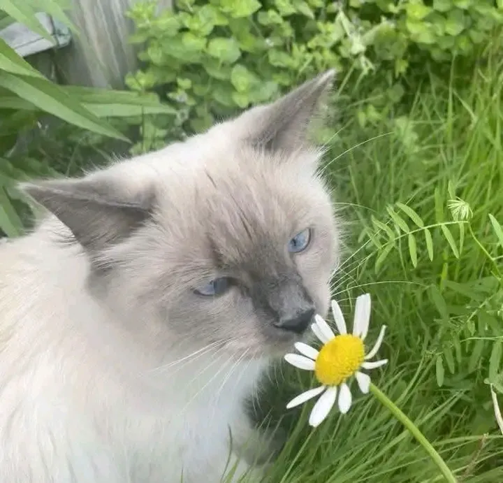 С Добрым Утром🐾🌞 #1