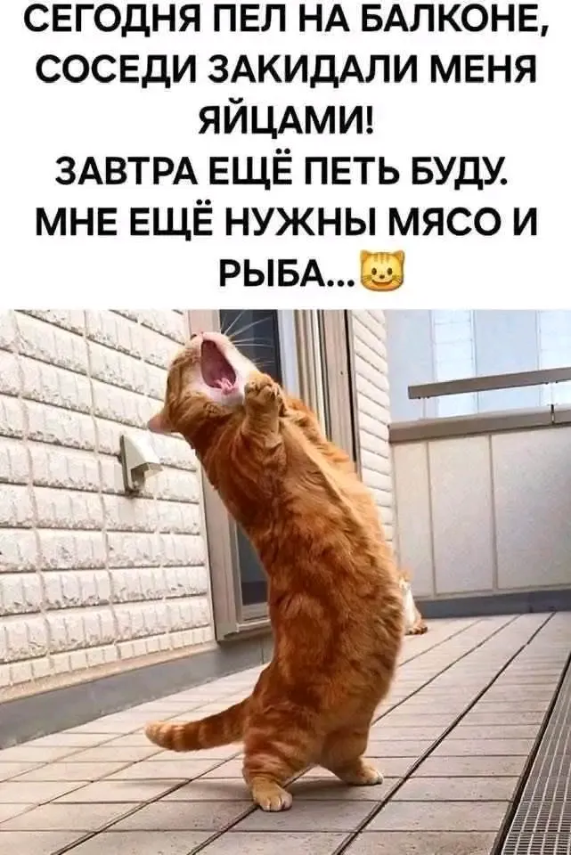 Певец🤣🐾👍 #1