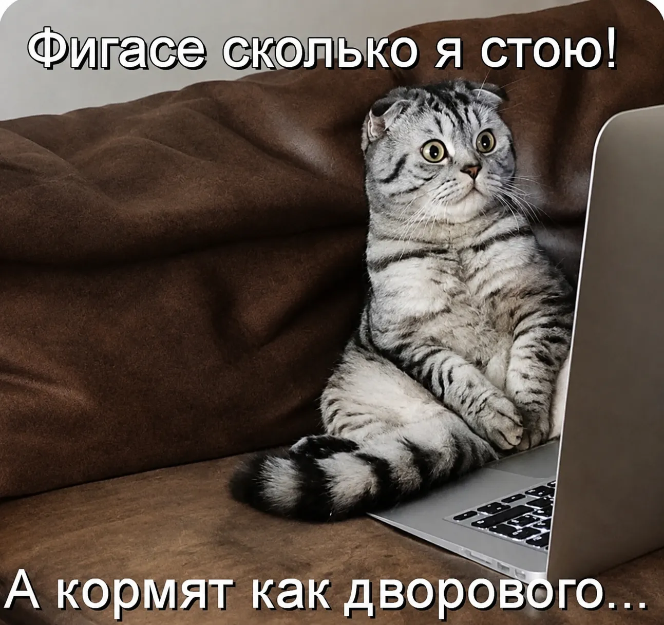 С Добрым Утром🐾🌞 #1