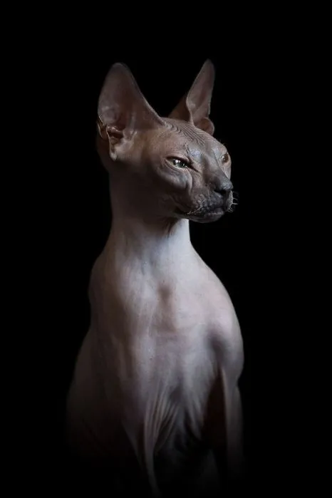 🐾👍🥰 #1