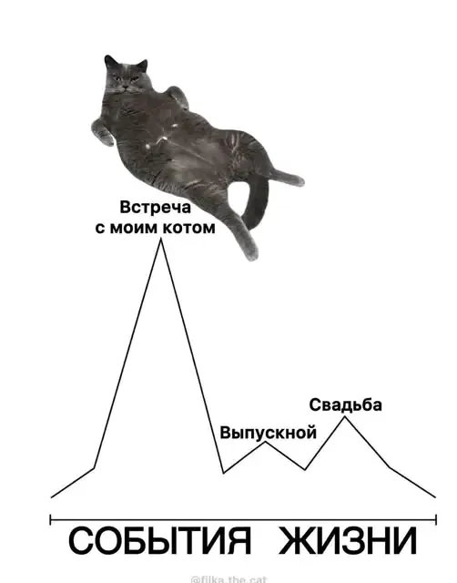 🤣👍🐾 #1