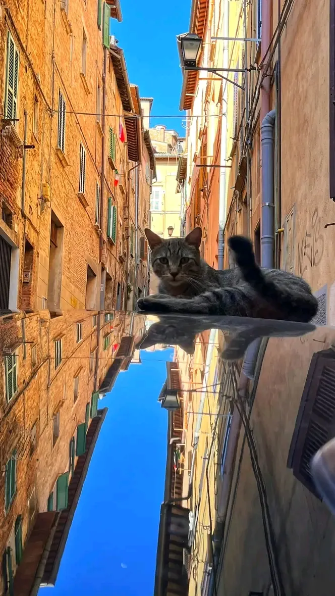 С Добрым Утром🌞🐾 #1