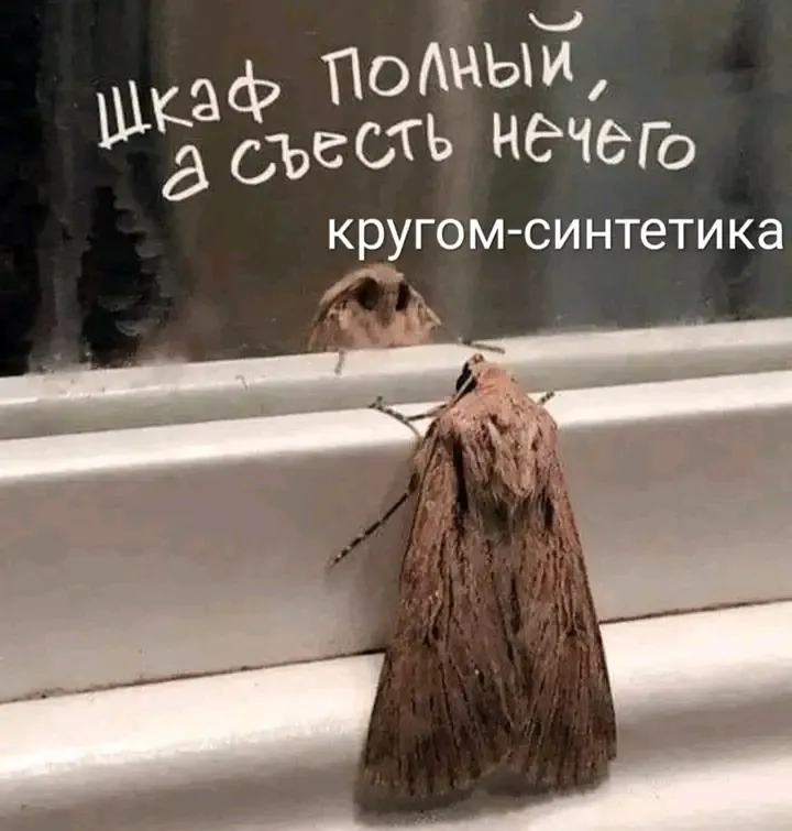 🤔 #1