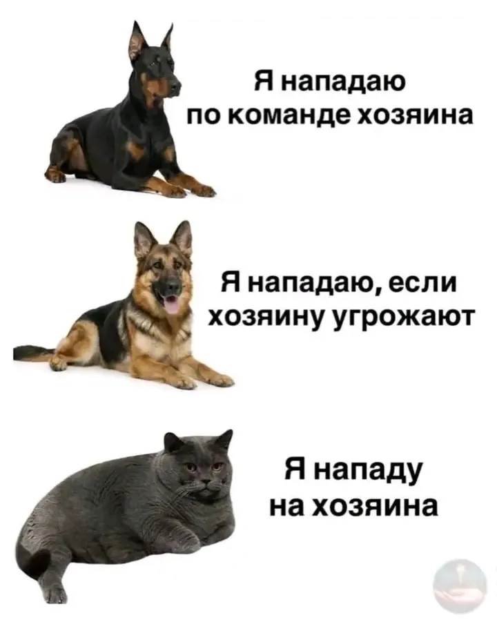 🐾😉👍 #1