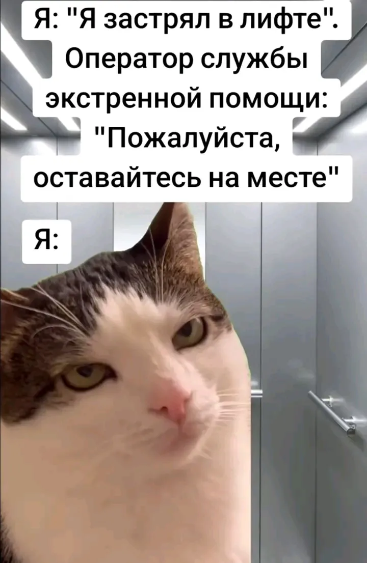 С Добрым Утром🌞🐾 #1