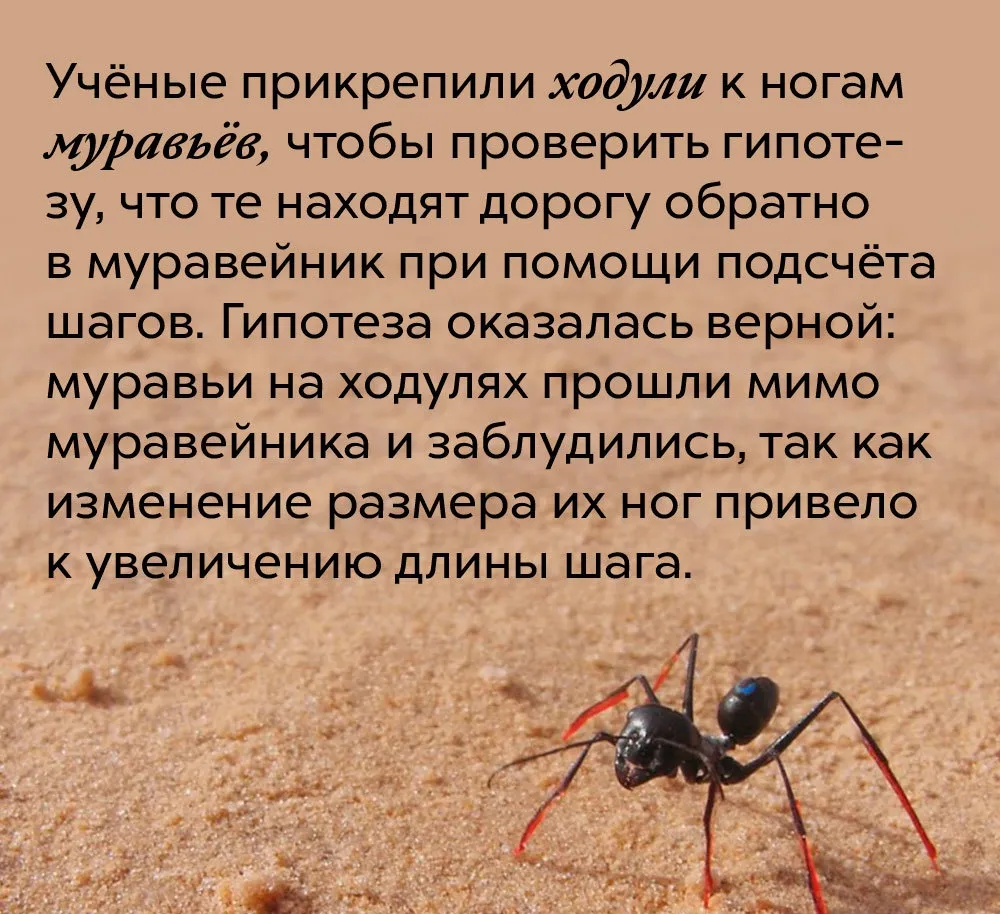 "Сбой системы " #2