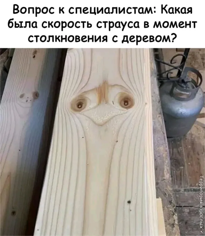 Есть предположения? 😉 #1