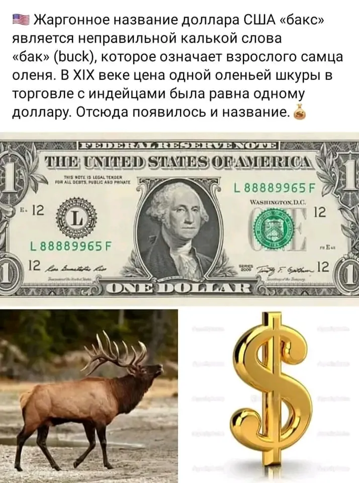 О баксах)  #1