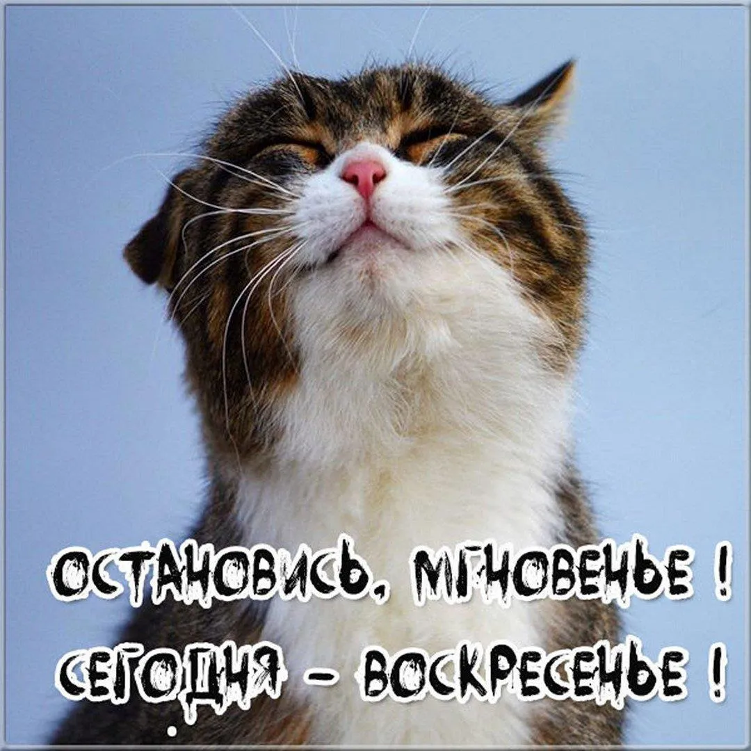 Про выходные #2
