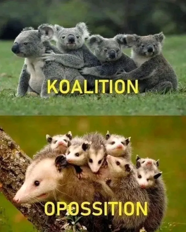 Коалиция и Оппозиция 😅 #1