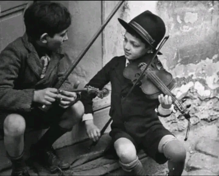 Скрипка🎻  #2